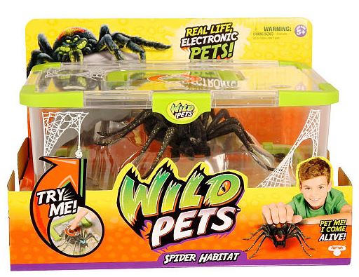 wild pets spider habitat