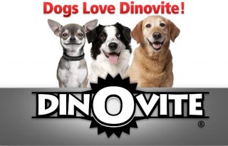 Dinovite