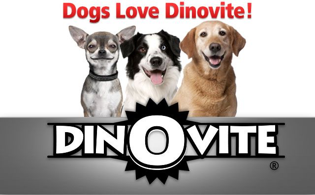 Dinovite Review: Pet Supplements Dinovite